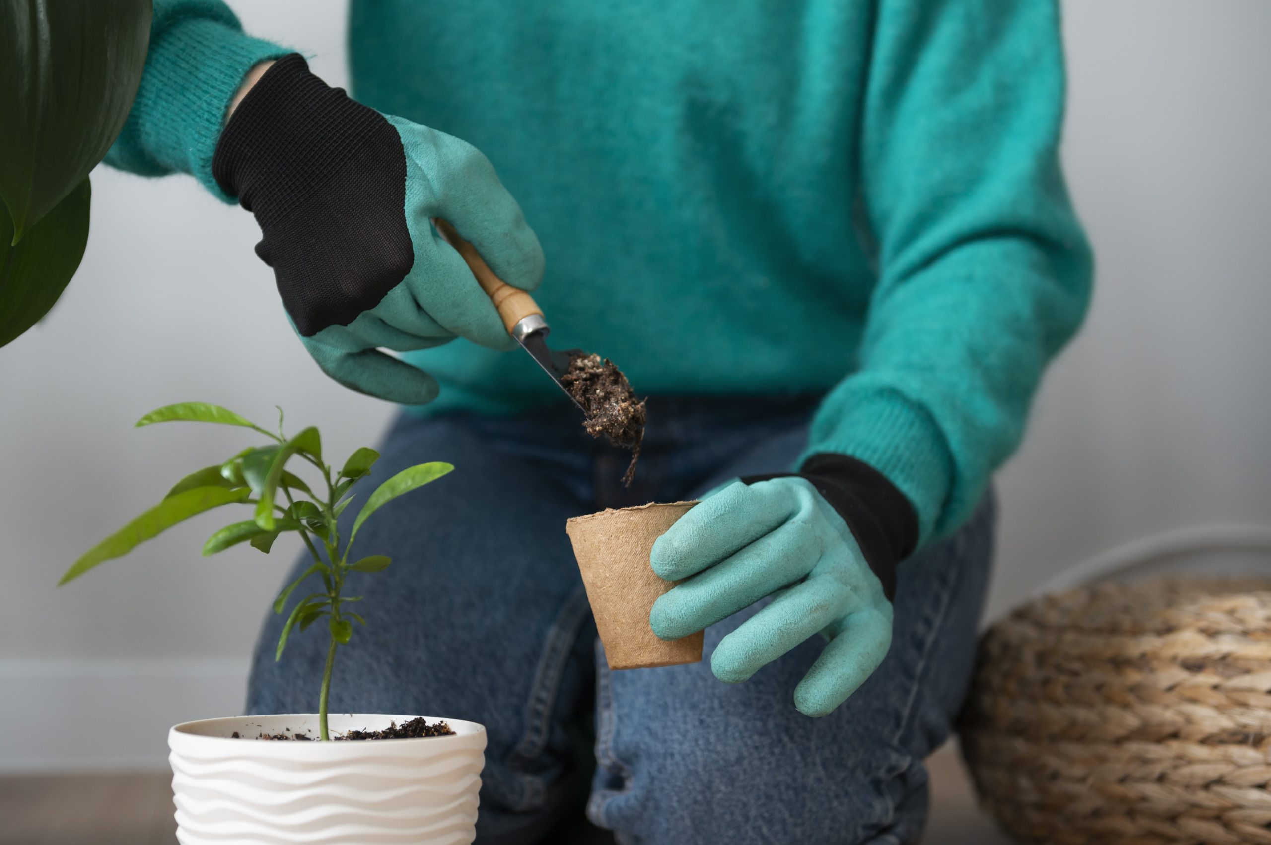 Mostra uma pessoa mexendo no solo de uma planta que está em um vaso.